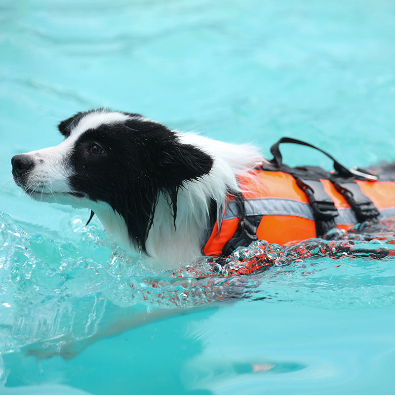 Big And Small Dog Life-Saving Clothes, Pet Cool Clothes, Safe Cooling Swimming Suit