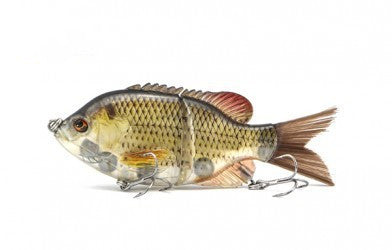 Luya Sunfish Fishing Simulation Transparent Fake Bait