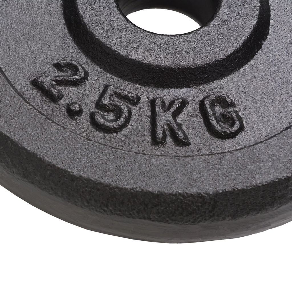 vidaXL Weight Plates 8 pcs 8x2.5 kg Cast Iron