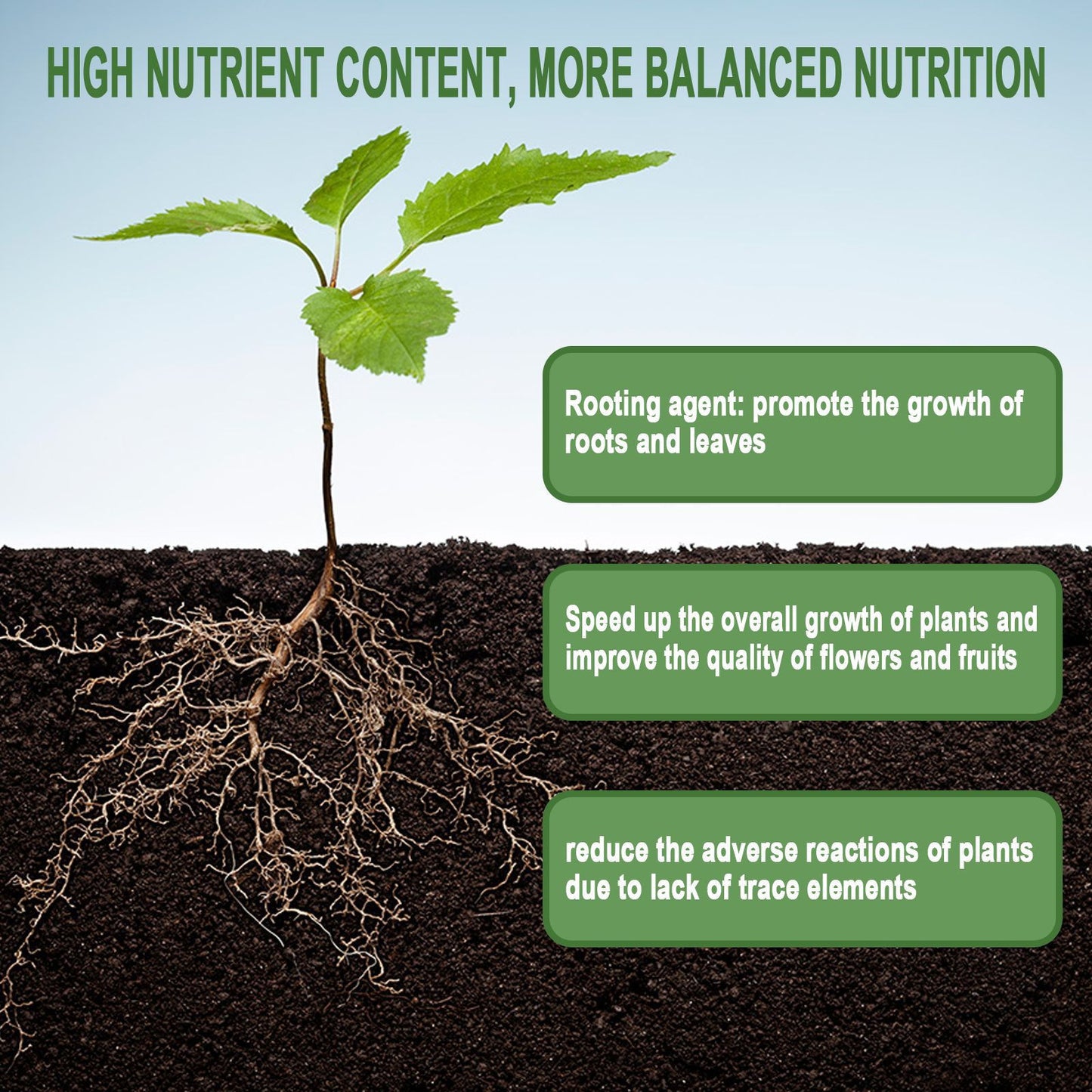 Transplanting Trees And Fruit Trees Root System Nutrition Powder