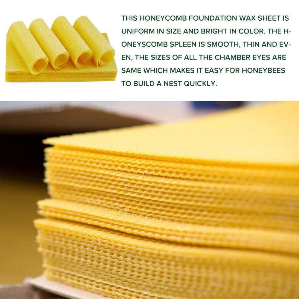 10pcs Honey Candles Maker Beeswax Sheets DIY Beekeeping Tools Beehive Nest Wax Honeycomb Beekeeping Foundation Sheets Bees