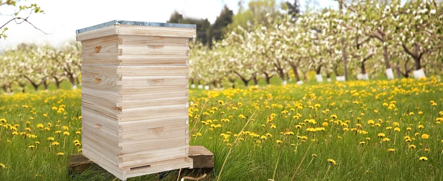 10-Frame Complete Bee Hives with Supplies Starter Kit, Beehives for Beginners with Beehive Frames and Waxed Foundations