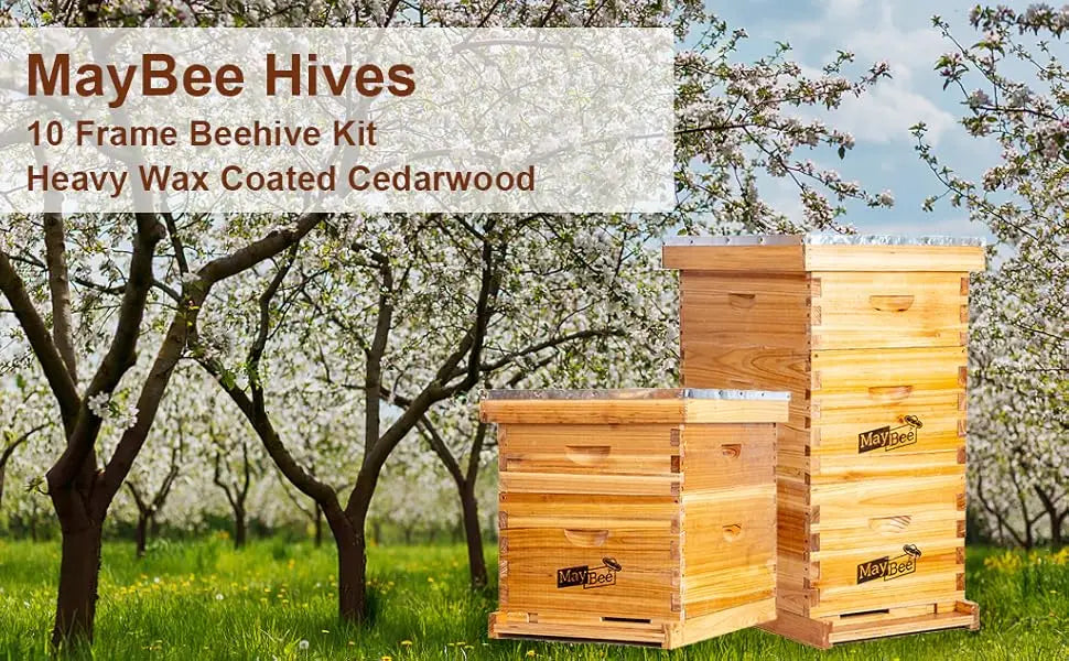 10-Frame Langstroth Beehive Dipped in 100% Beeswax, Complete Bee Hives and Supplies Starter Kit Includes 2 Deep Hive Bee Box and