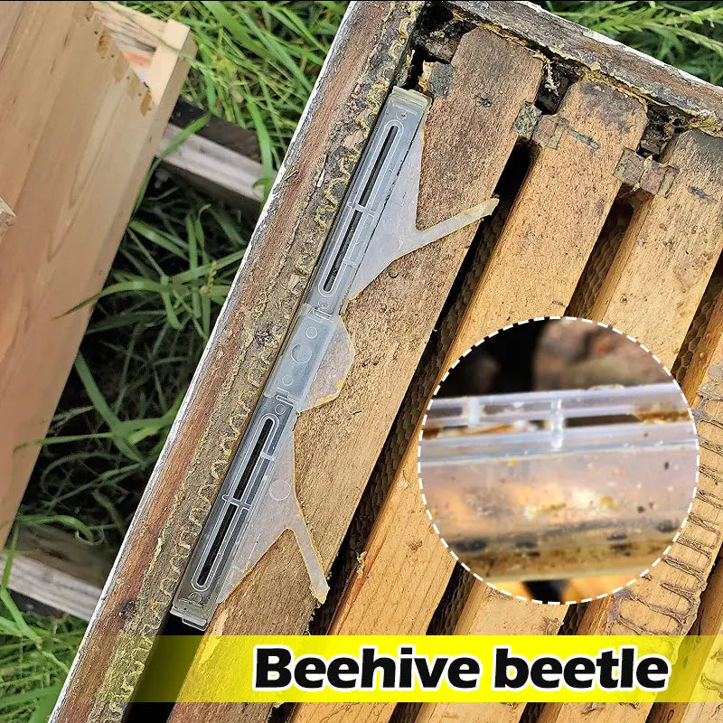 2 Pcs Beetle Trap Beehive Baitable Trap Collector Nest Insect Trap Bee Hive Insect Catcher Killer Portable Beekeeping Tool