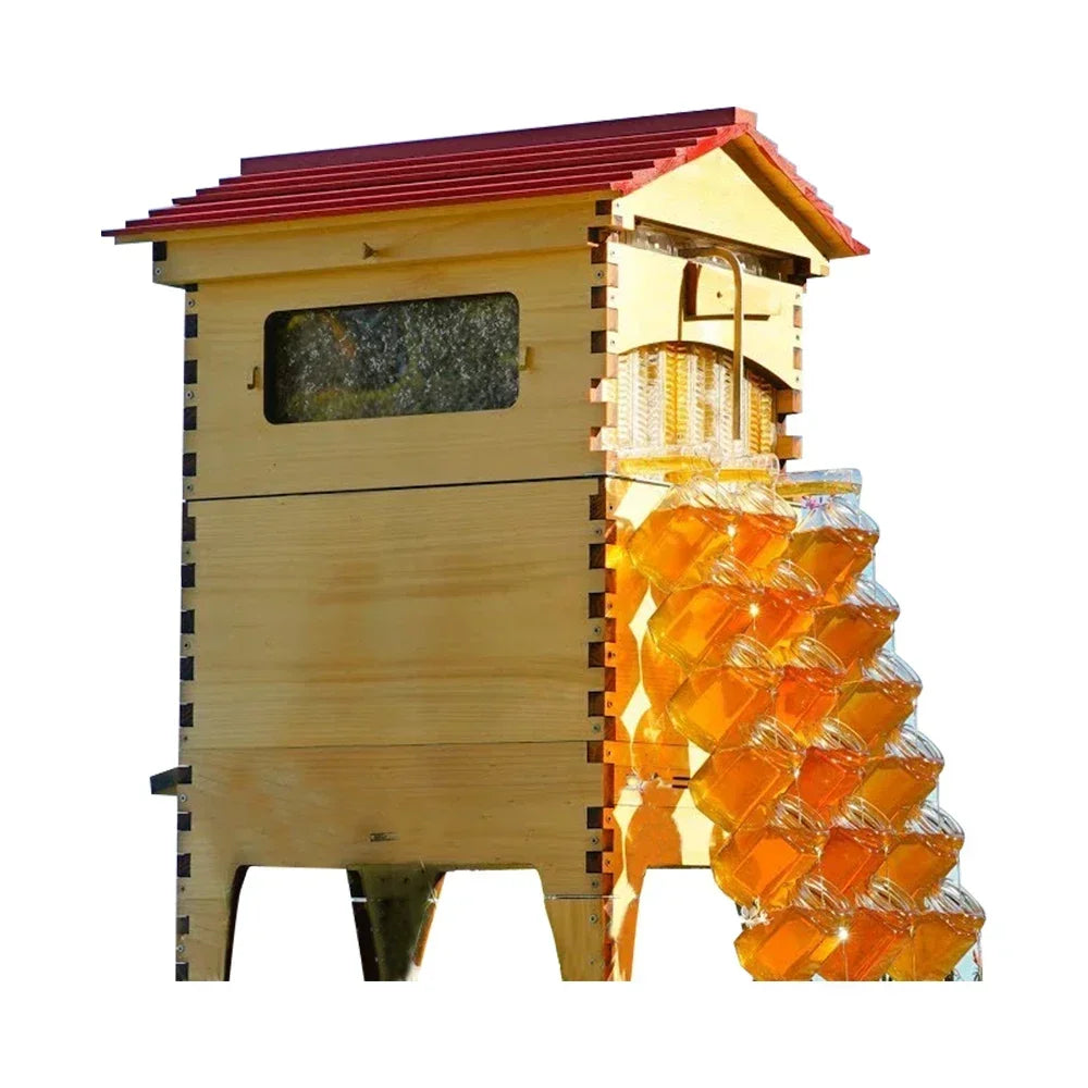 Golden Automatic Hive 2 Beehive 7Pcs Box Flows Frame