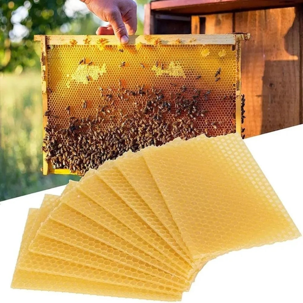 10pcs Honey Candles Maker Beeswax Sheets DIY Beekeeping Tools Beehive Nest Wax Honeycomb Beekeeping Foundation Sheets Bees