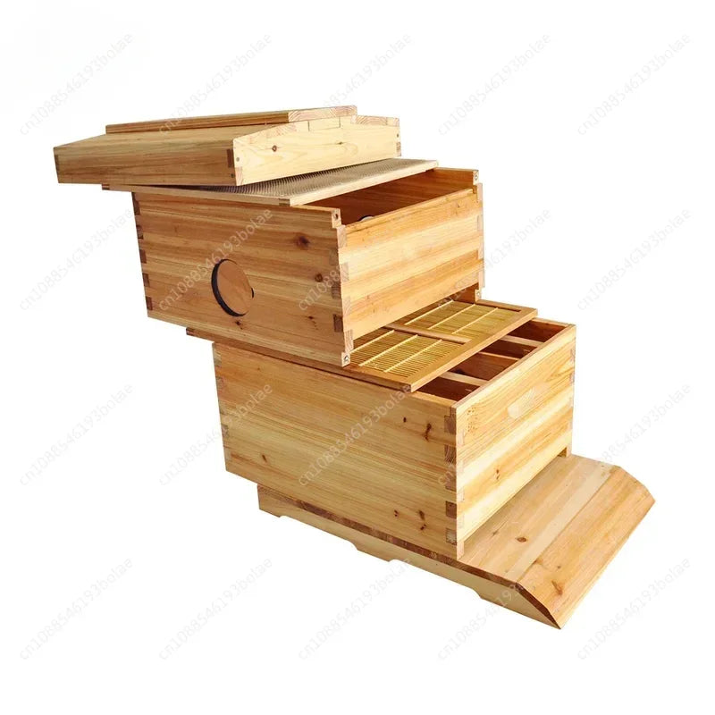 Golden Automatic Hive 2 Beehive 7Pcs Box Flows Frame