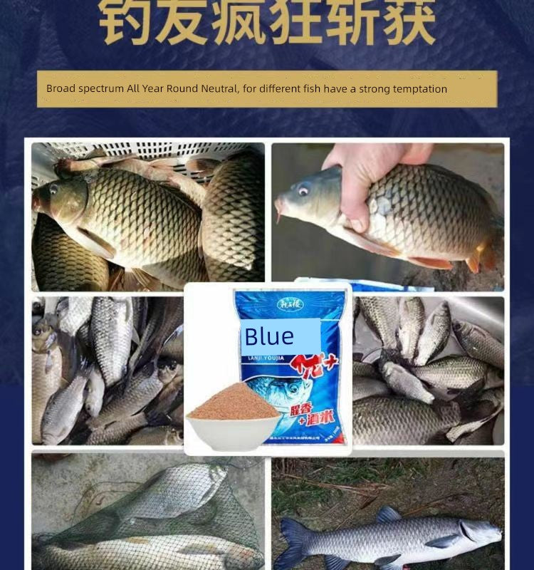 September 18 Field Battle Blue Carp Bait Wild Fishing Catfish Carp Food Old Three Formula Widely Loved Pull Bait Line Yitang