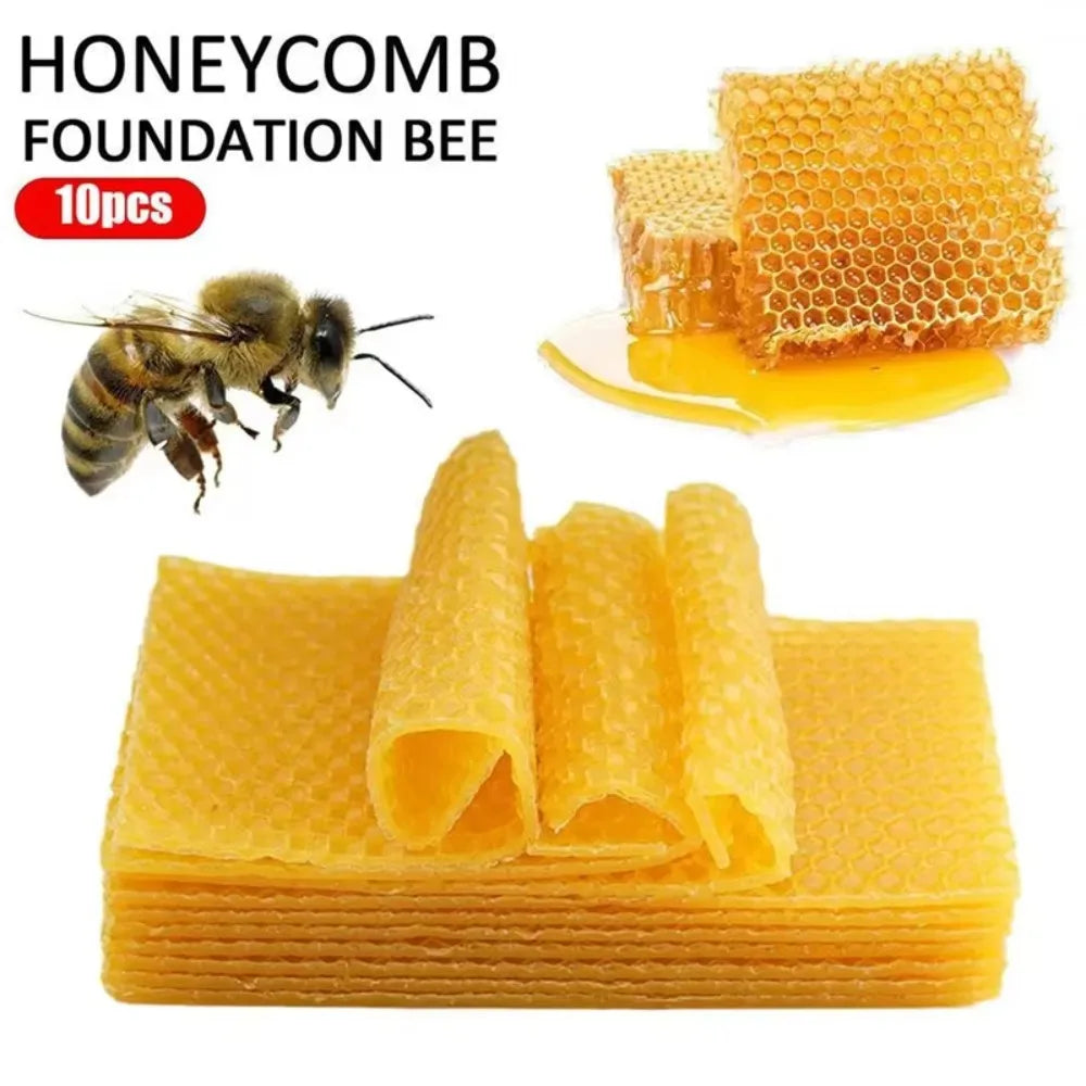 10pcs Honey Candles Maker Beeswax Sheets DIY Beekeeping Tools Beehive Nest Wax Honeycomb Beekeeping Foundation Sheets Bees