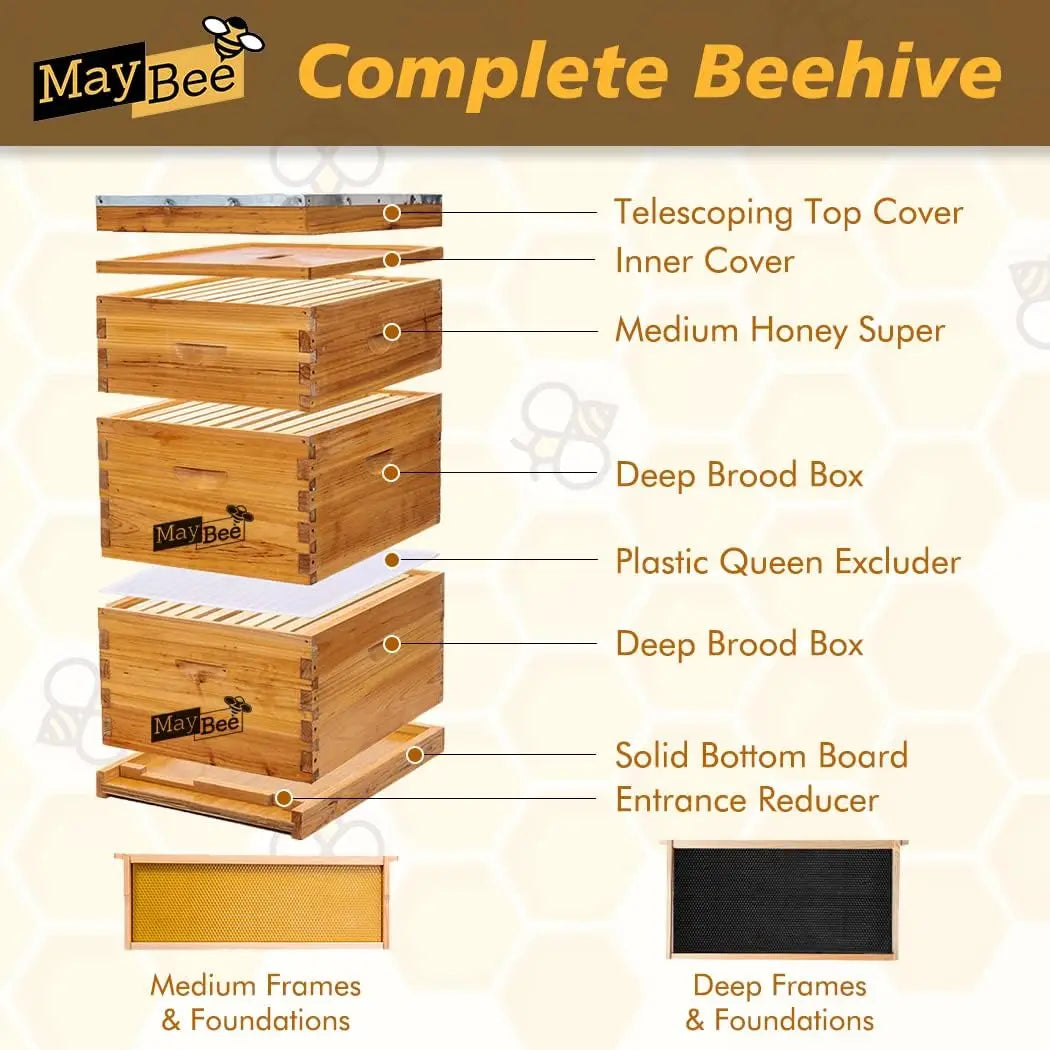 10-Frame Langstroth Beehive Dipped in 100% Beeswax, Complete Bee Hives and Supplies Starter Kit Includes 2 Deep Hive Bee Box and