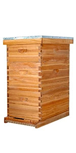 10-Frame Langstroth Beehive Dipped in 100% Beeswax, Complete Bee Hives and Supplies Starter Kit Includes 2 Deep Hive Bee Box and