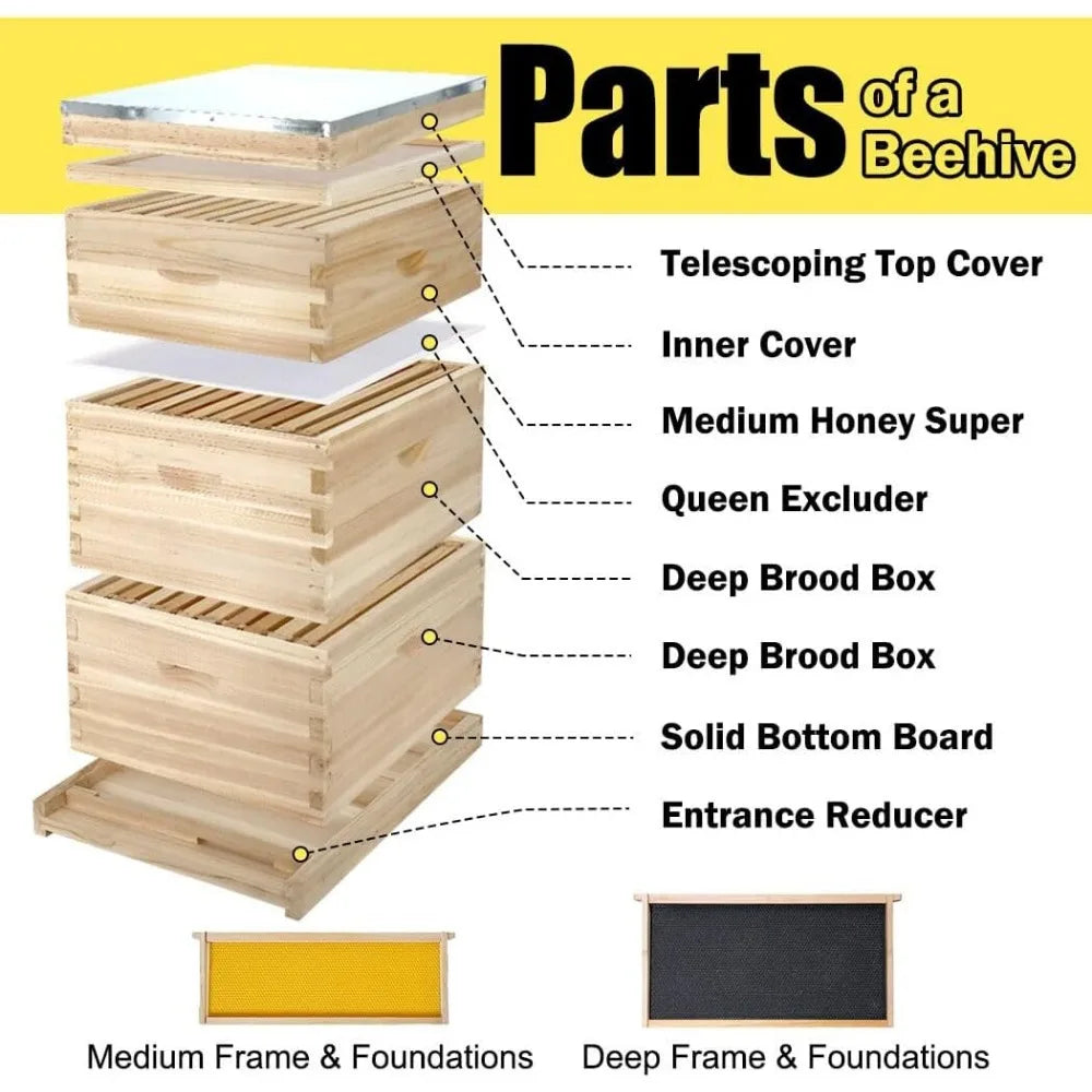 10-Frame Complete Bee Hives with Supplies Starter Kit, Beehives for Beginners with Beehive Frames and Waxed Foundations