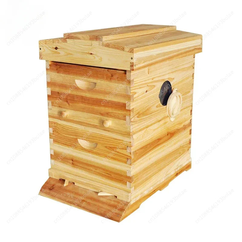 Golden Automatic Hive 2 Beehive 7Pcs Box Flows Frame