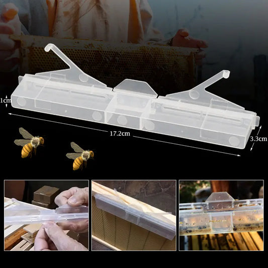 2 Pcs Beetle Trap Beehive Baitable Trap Collector Nest Insect Trap Bee Hive Insect Catcher Killer Portable Beekeeping Tool