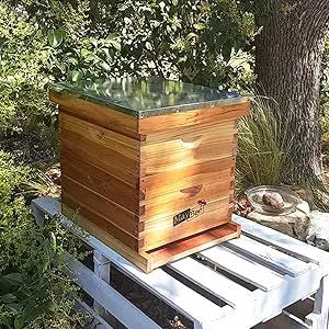 10-Frame Langstroth Beehive Dipped in 100% Beeswax, Complete Bee Hives and Supplies Starter Kit Includes 2 Deep Hive Bee Box and