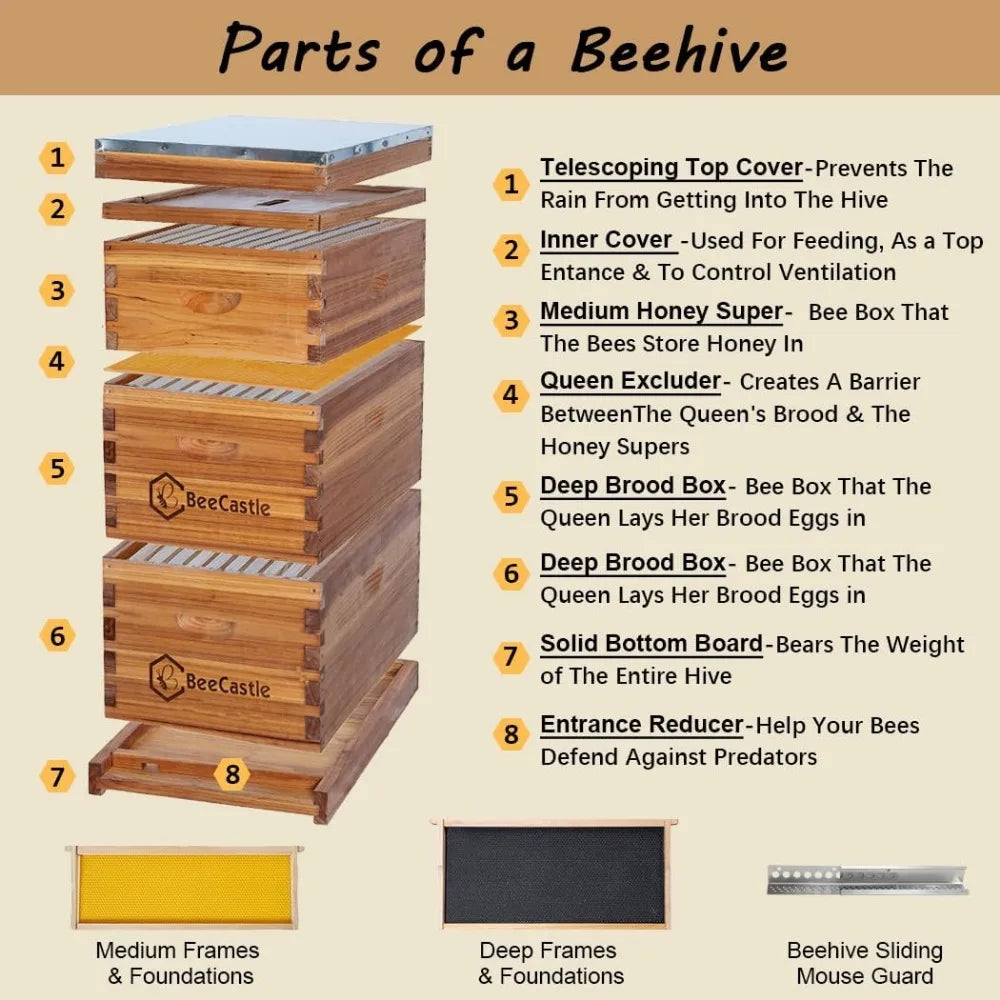 10 Beehives, Coated with 100% Beeswax, Including Beehive Frame and Waxing Foundation (2 Deep Beehives and 1 Medium Beehive)